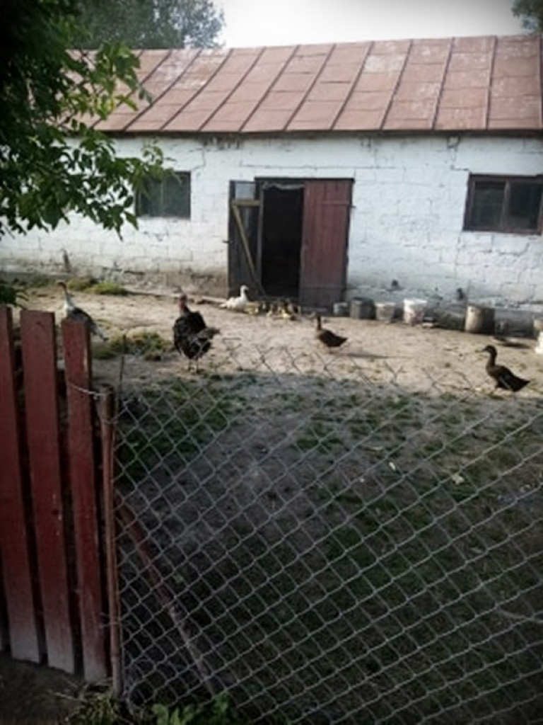 Śladem bocianich gniazd w Gminie Werbkowice