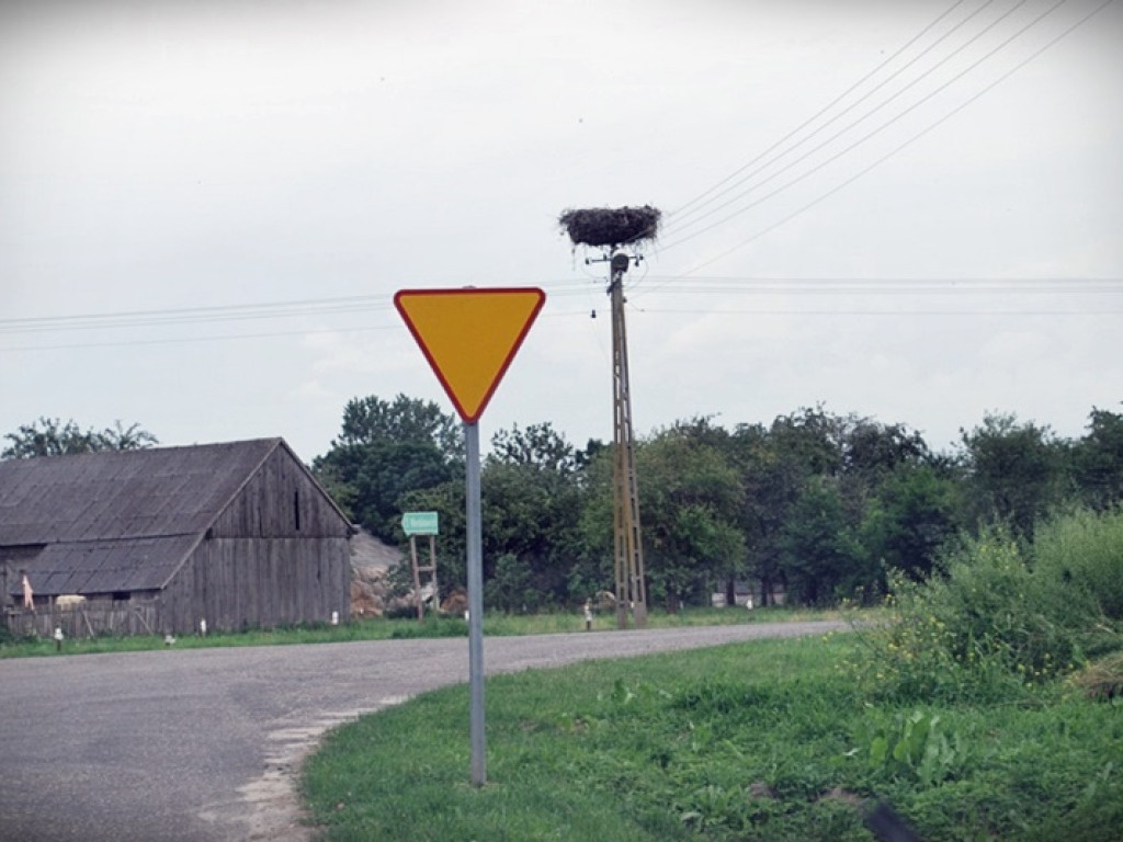 Śladem bocianich gniazd w Gminie Werbkowice