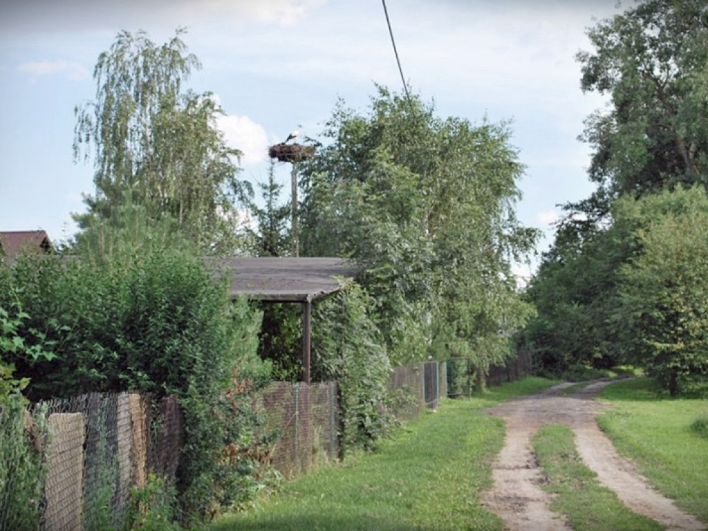 Śladem bocianich gniazd w Gminie Werbkowice