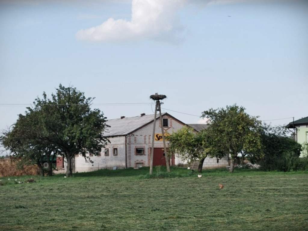 Śladem bocianich gniazd w Gminie Werbkowice