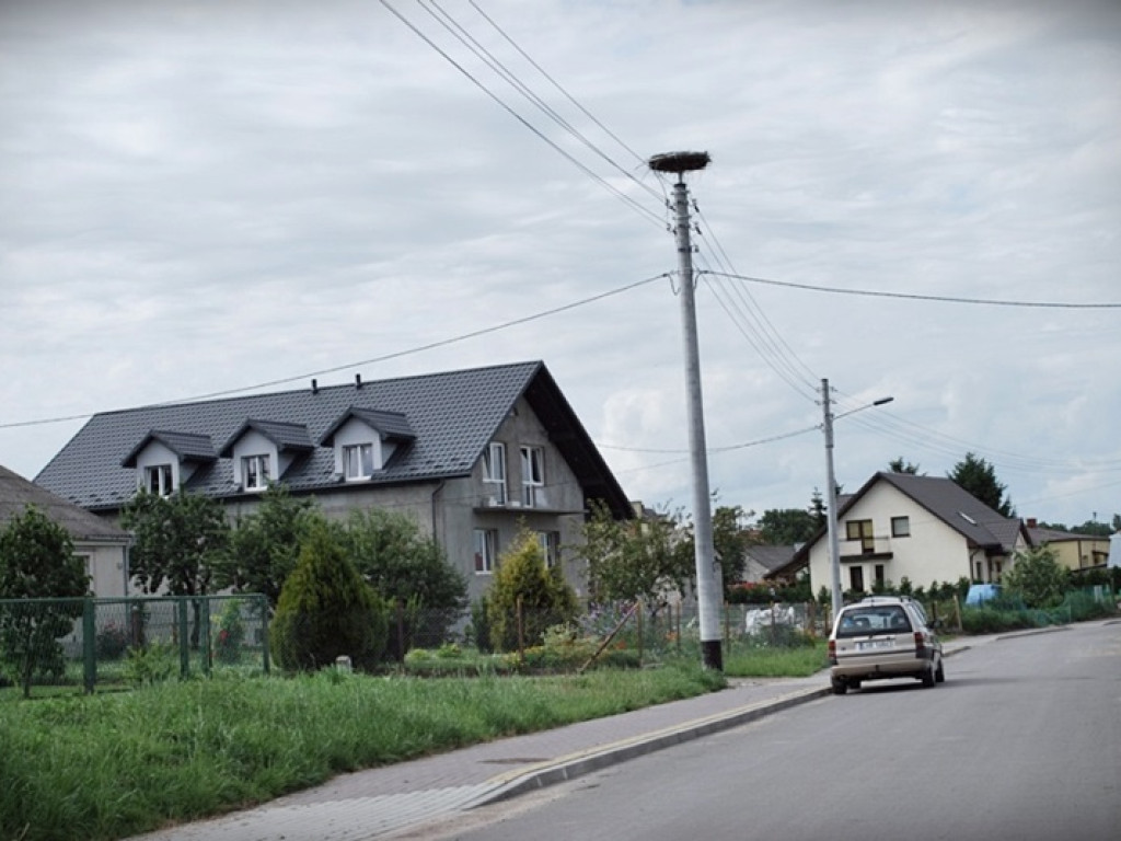 Śladem bocianich gniazd w Gminie Werbkowice
