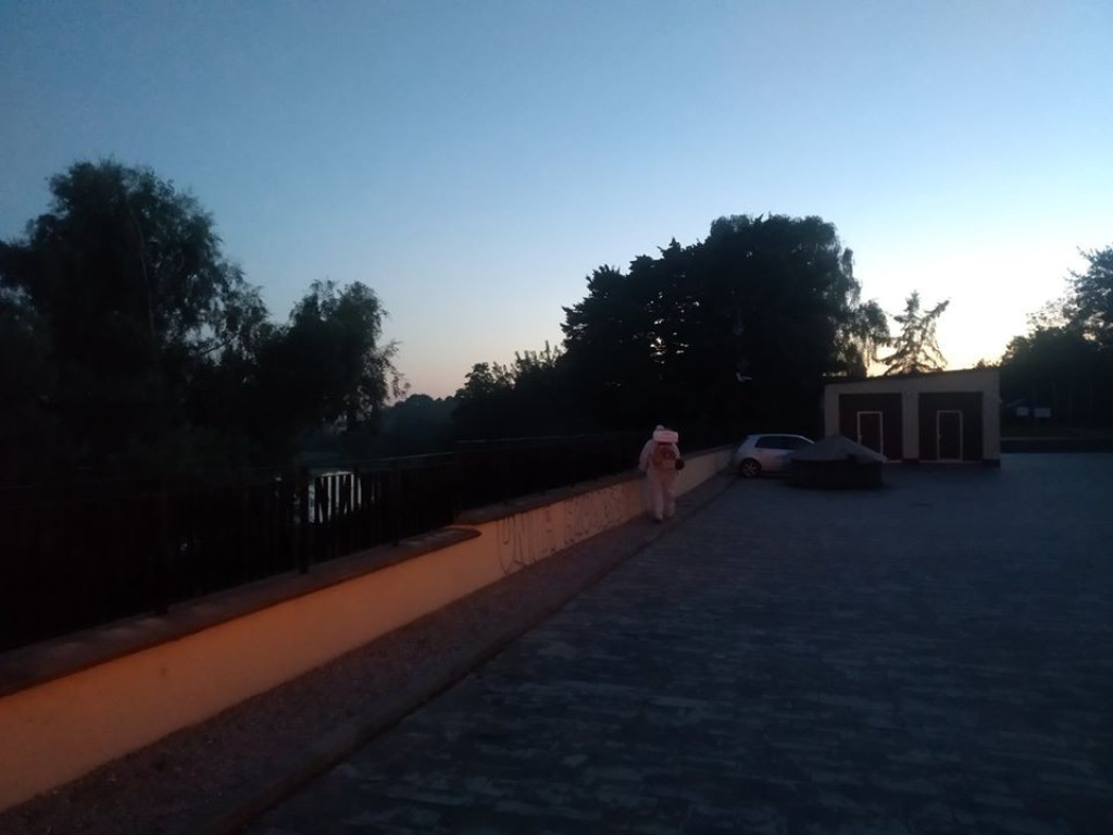 Hrubieszów walczy z komarami