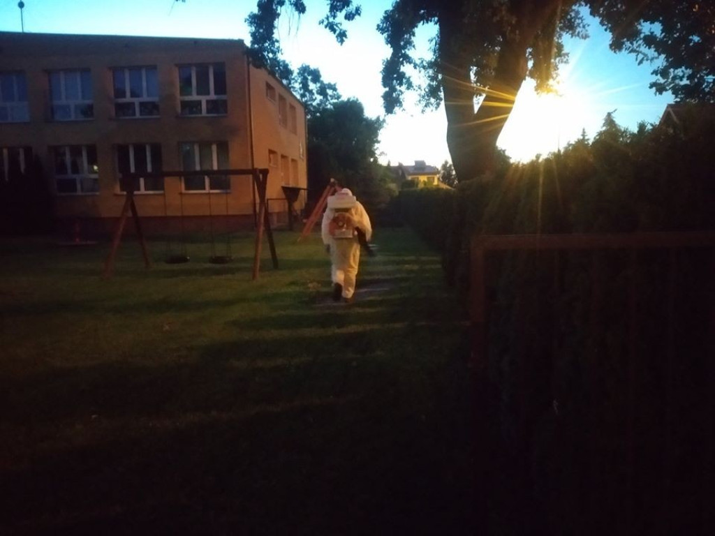Hrubieszów walczy z komarami