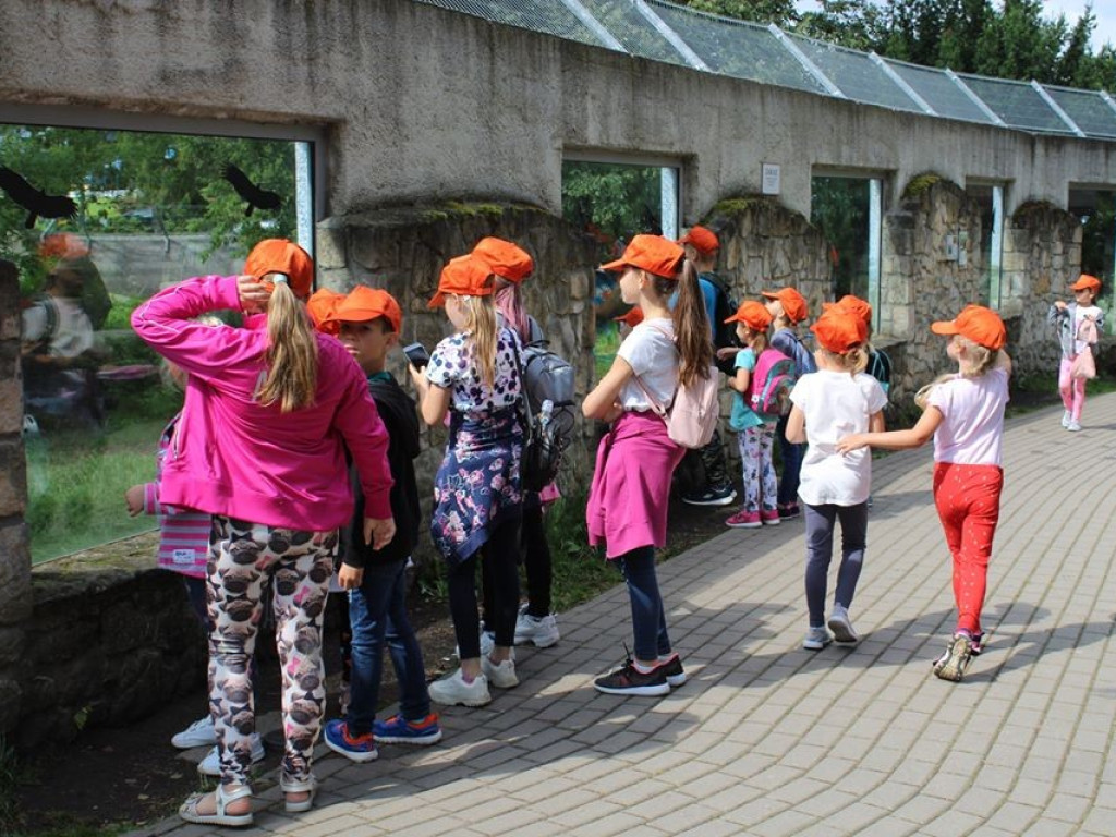 Dzieci z Werbkowic na wycieczce w ZOO