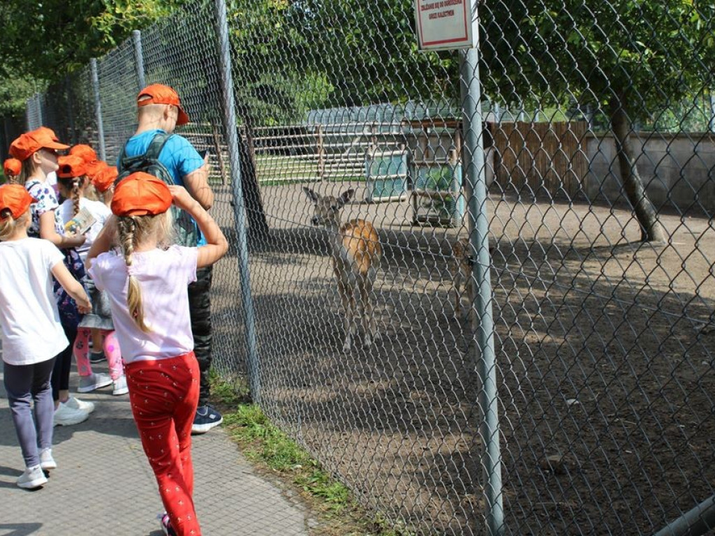 Dzieci z Werbkowic na wycieczce w ZOO
