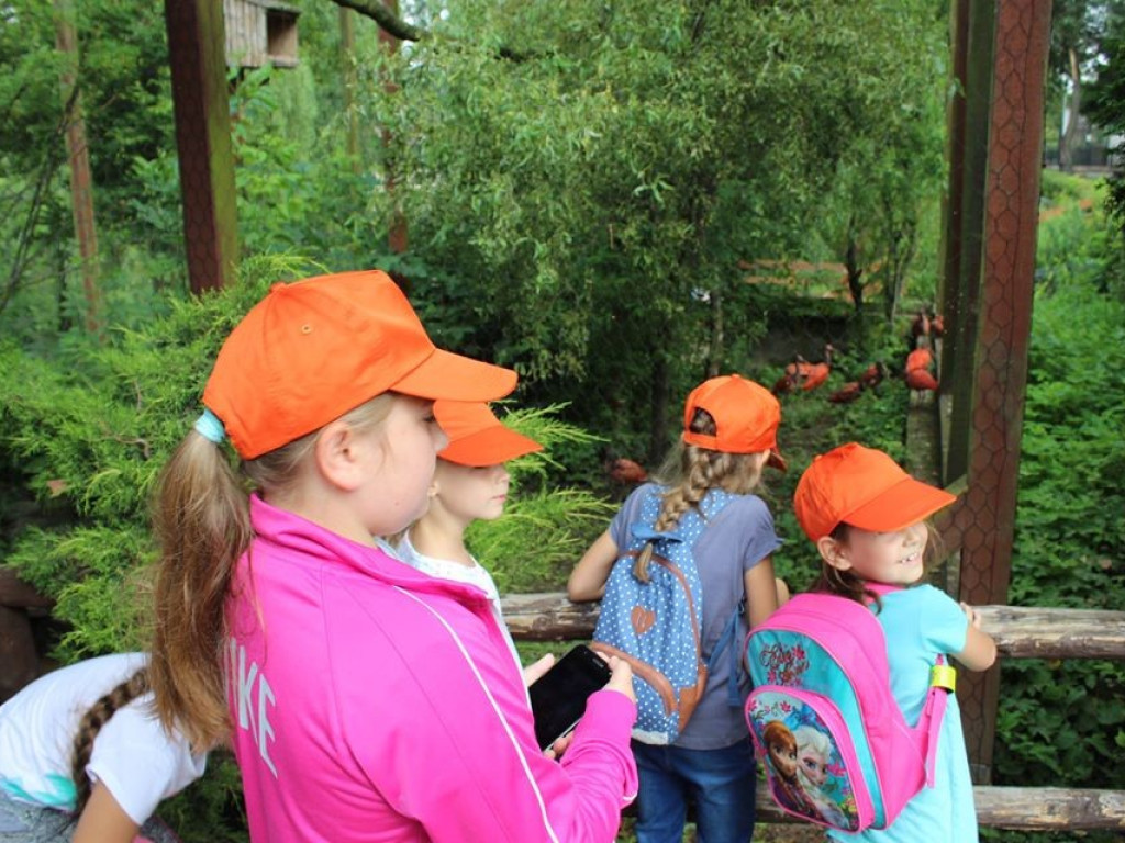 Dzieci z Werbkowic na wycieczce w ZOO