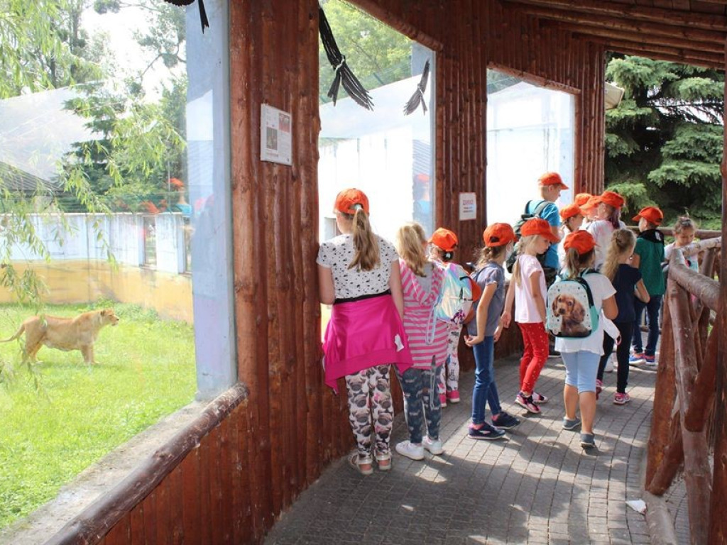 Dzieci z Werbkowic na wycieczce w ZOO