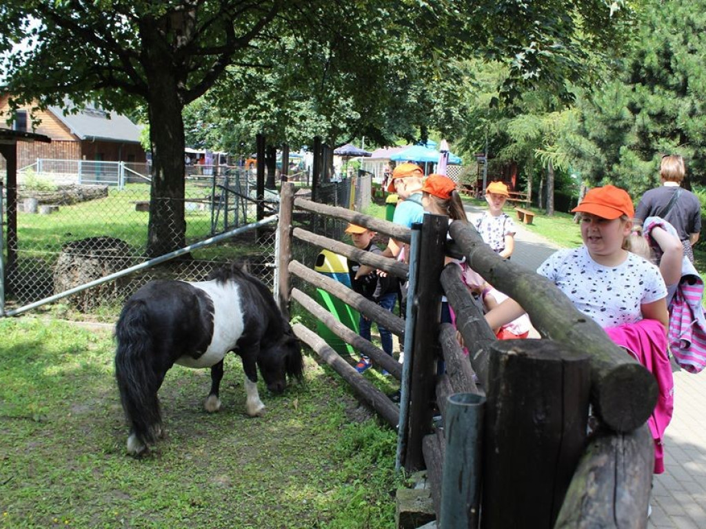 Dzieci z Werbkowic na wycieczce w ZOO