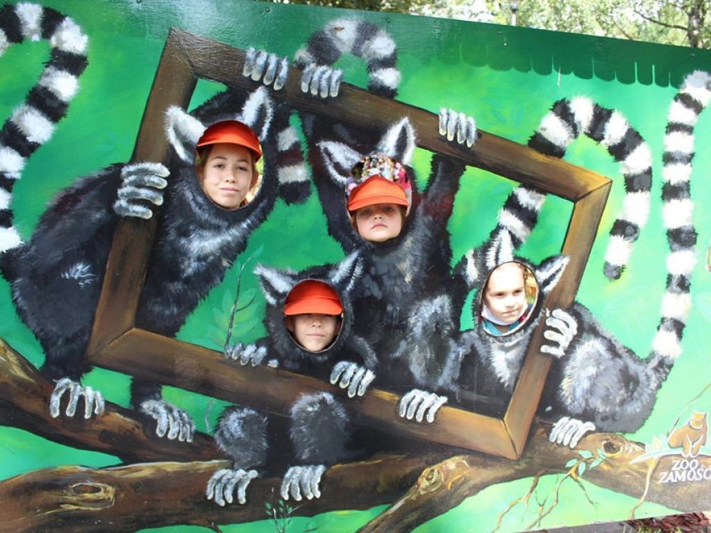 Dzieci z Werbkowic na wycieczce w ZOO