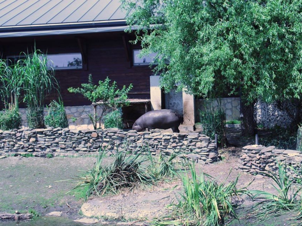 Dzieci z Werbkowic na wycieczce w ZOO