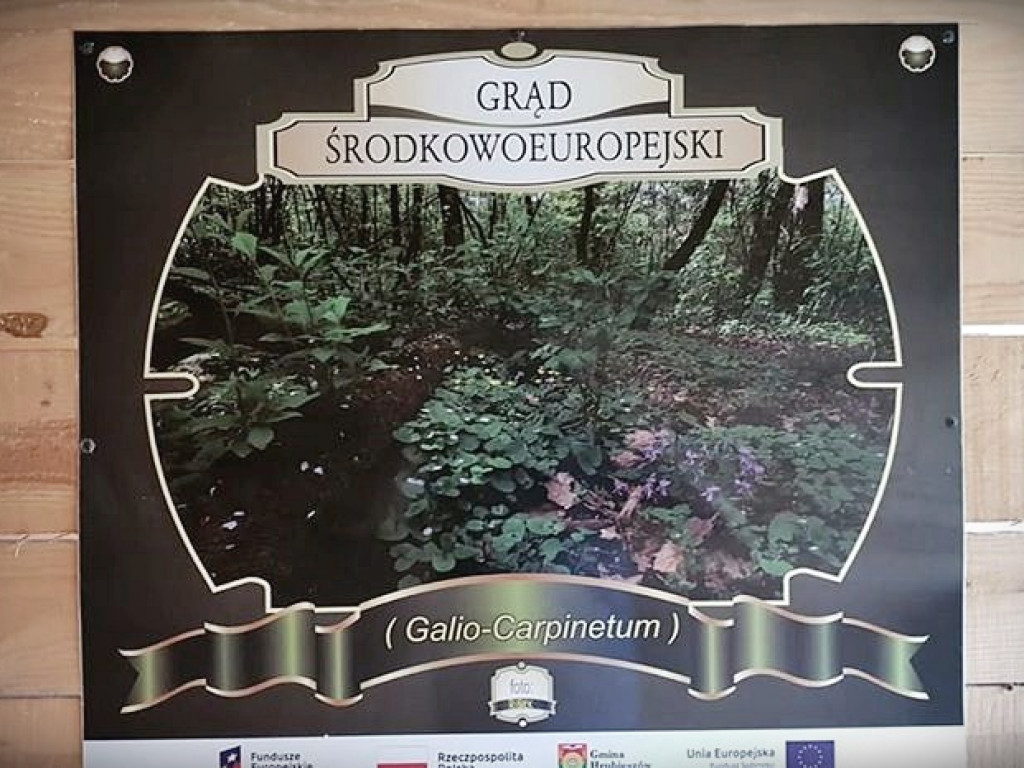 Trwa remont sceny w Lasku Czumowskim