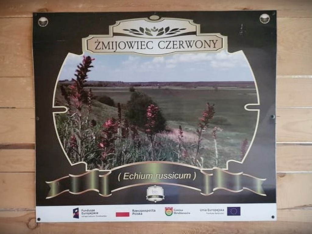 Trwa remont sceny w Lasku Czumowskim