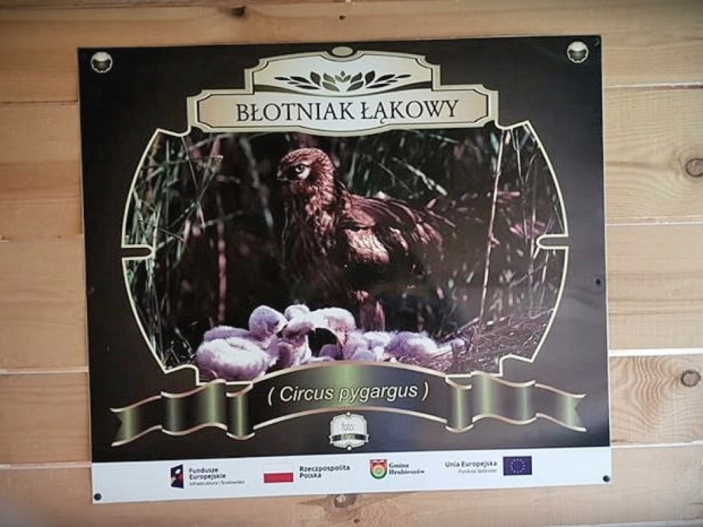 Trwa remont sceny w Lasku Czumowskim