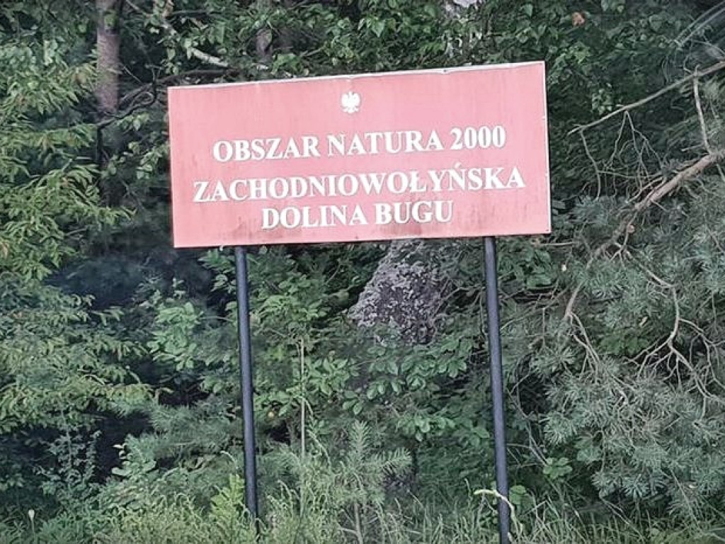 Trwa remont sceny w Lasku Czumowskim