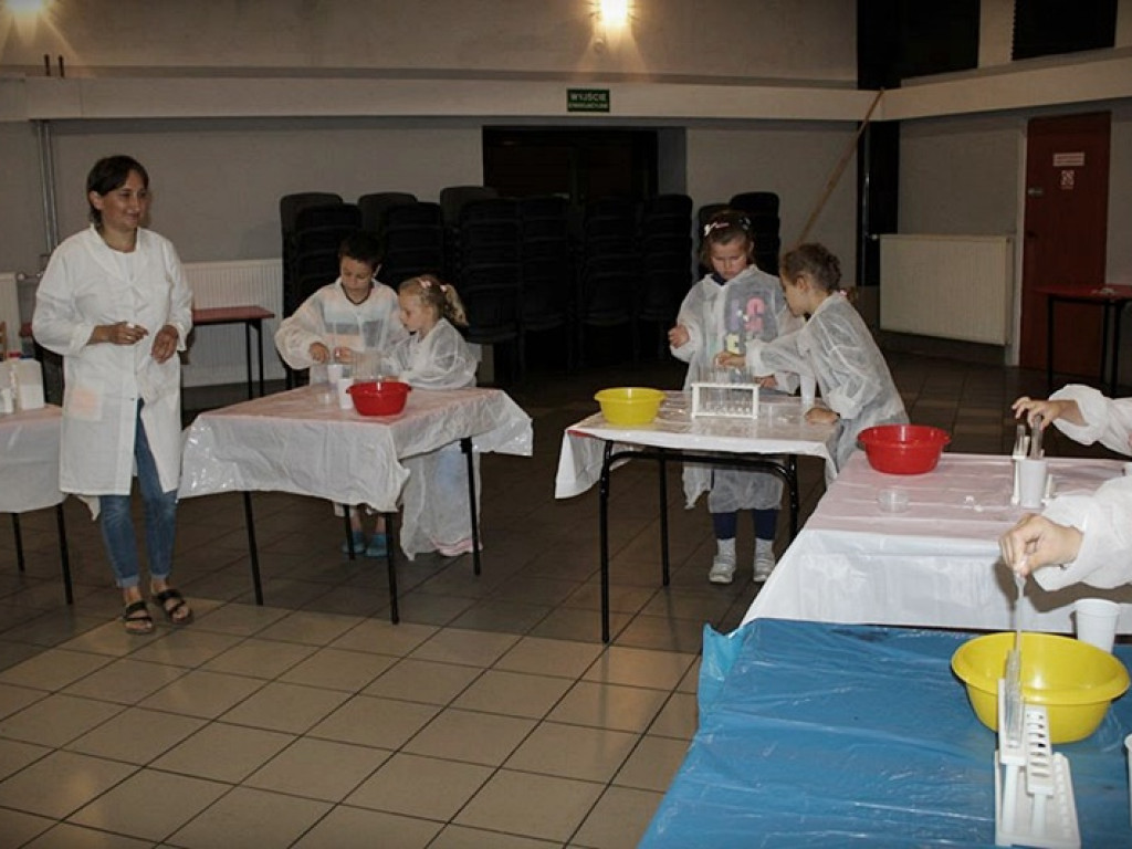 Werbkowice: Stacja Animacja II