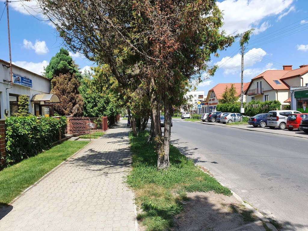 Tu będą nowe chodniki - ulica Mickiewicza