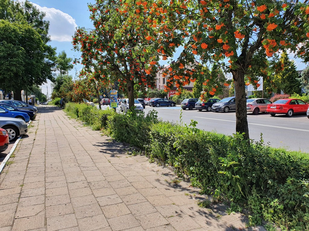 Tu będą nowe chodniki - ulica Mickiewicza