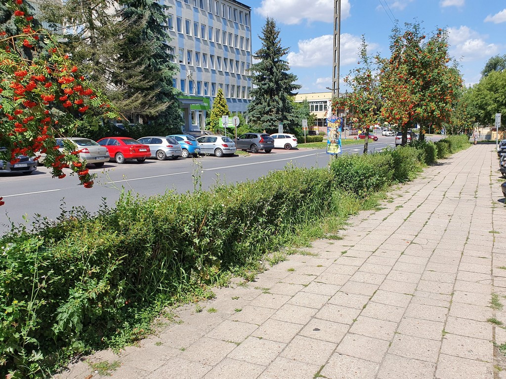Tu będą nowe chodniki - ulica Mickiewicza
