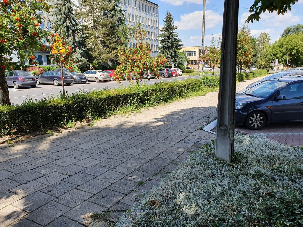 Tu będą nowe chodniki - ulica Mickiewicza