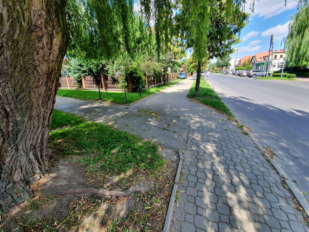 Tu będą nowe chodniki - ulica Mickiewicza