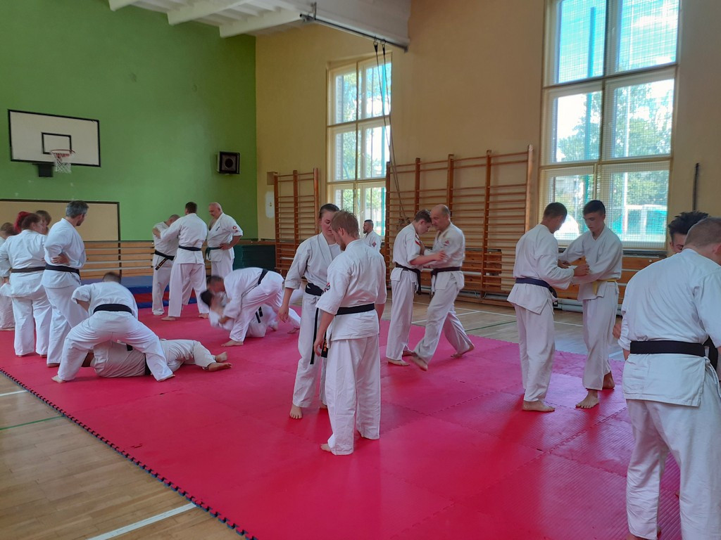 Seminarium Sztuk Walki Kyodokyokushin
