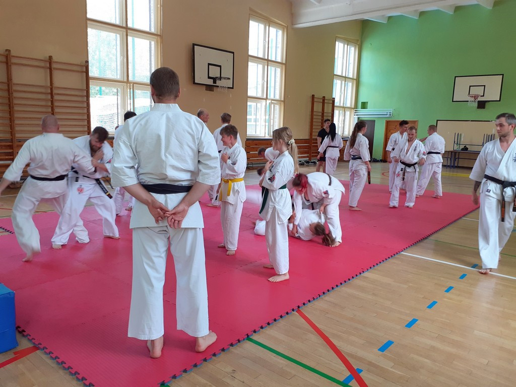 Seminarium Sztuk Walki Kyodokyokushin