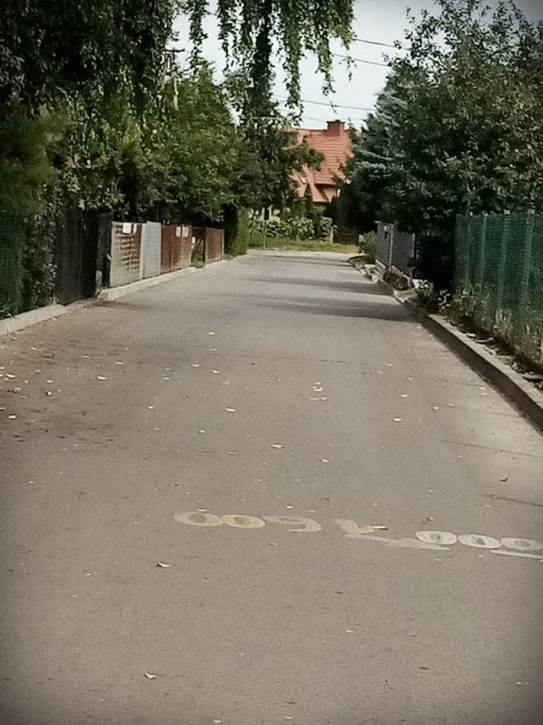 Leniwa sobota w Werbkowicach