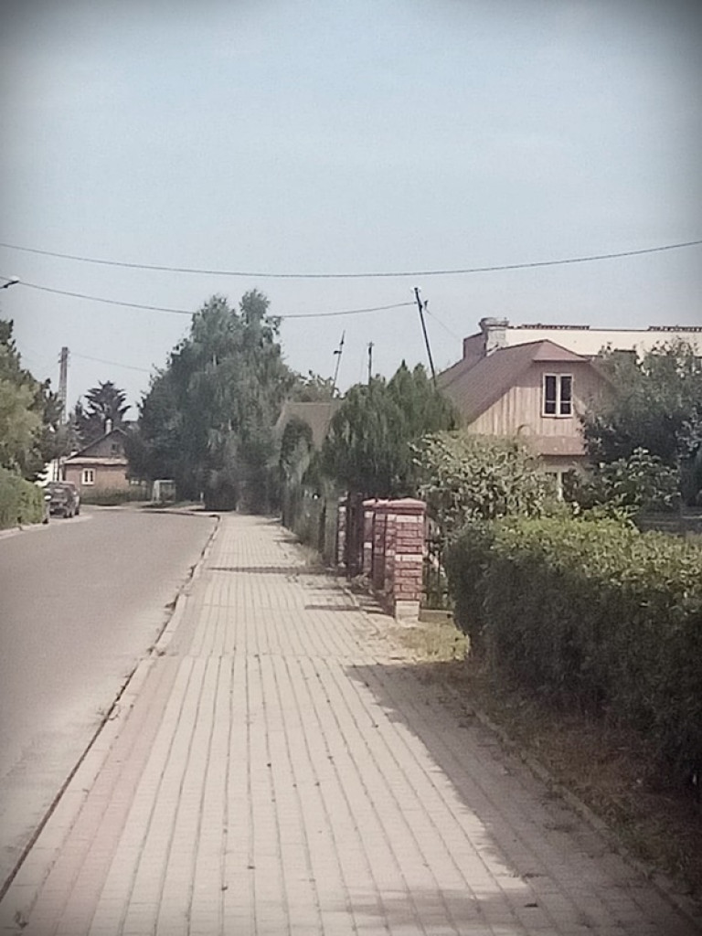 Leniwa sobota w Werbkowicach