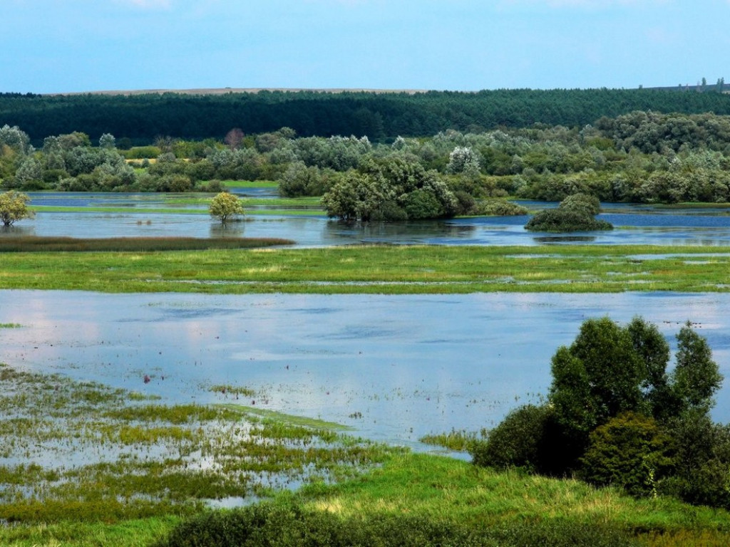 Powiat hrubieszowski. Nie tylko susły i żołny