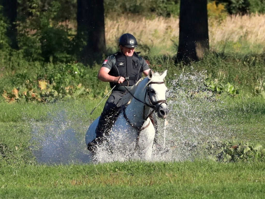 Hrubieszów: Trwa Święto Strzelca Konnego