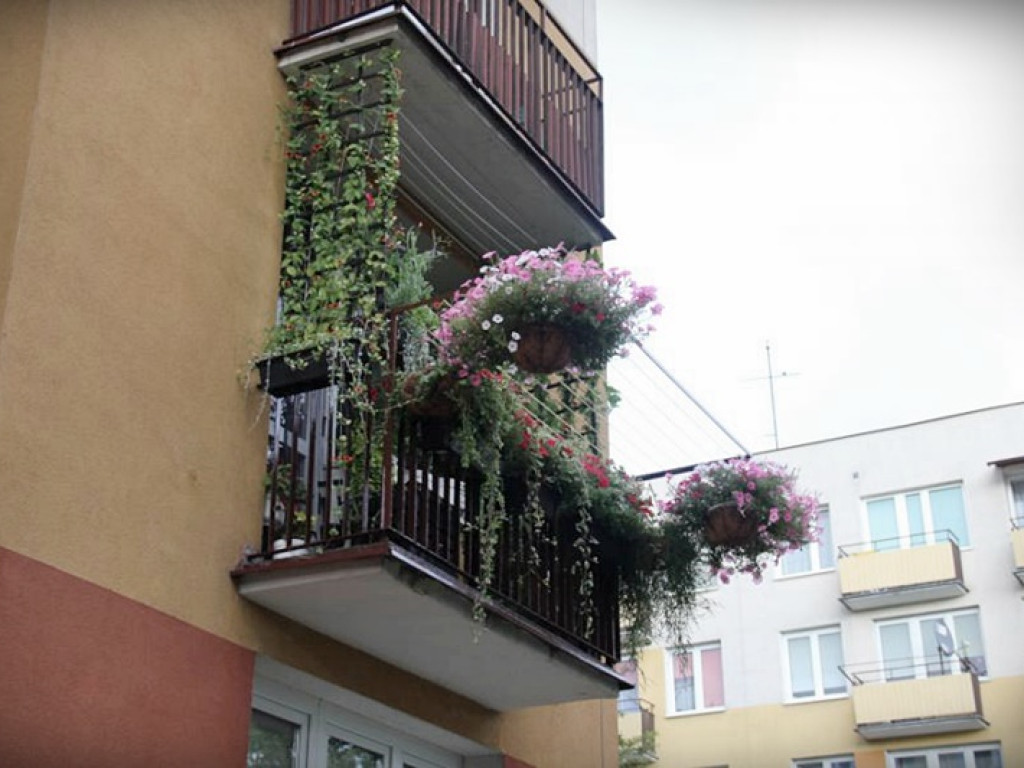 Najpiękniejsze posesje i balkony - Hrubieszów 2020 - znamy zwycięzców