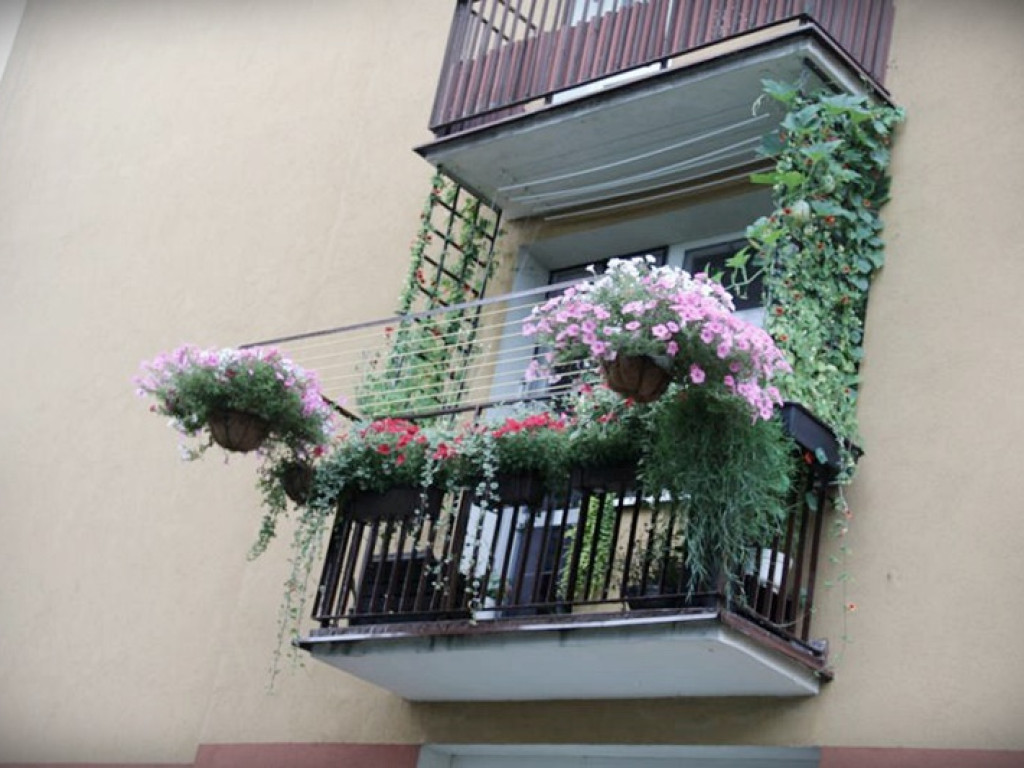 Najpiękniejsze posesje i balkony - Hrubieszów 2020 - znamy zwycięzców