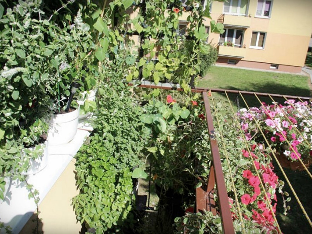 Najpiękniejsze posesje i balkony - Hrubieszów 2020 - znamy zwycięzców