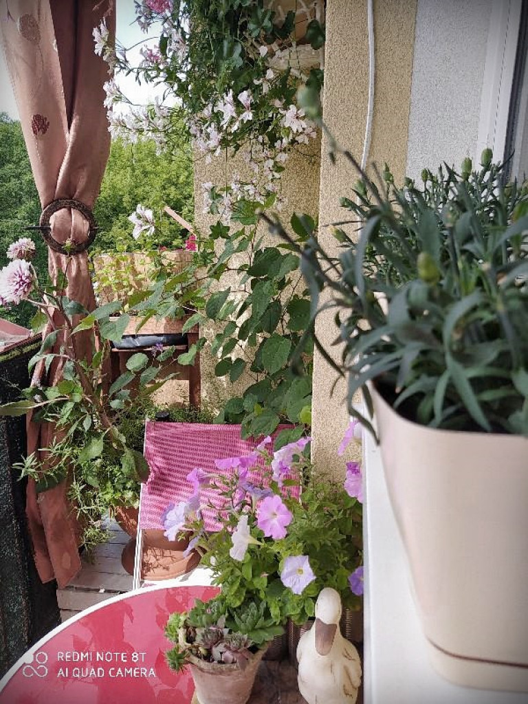 Najpiękniejsze posesje i balkony - Hrubieszów 2020 - znamy zwycięzców