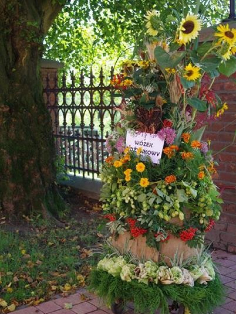 Święto Plonów w gminie Trzeszczany. Odsłonięcie pomnika 100-lecia Odzyskania Niepodległości