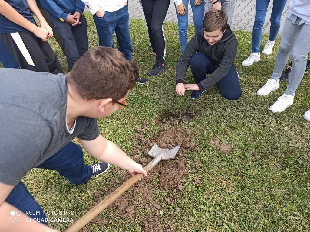 Akcja #sadziMY 2020 w hrubieszowskiej Dwójce