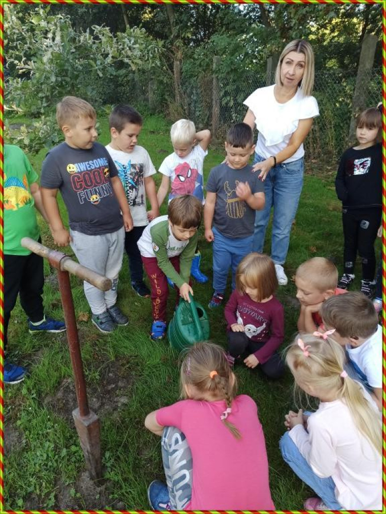 Hrubieszów: Przedszkolaki z Gródeckiej sadziły las - ZDJĘCIA