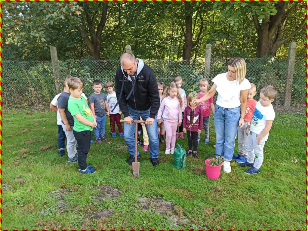 Hrubieszów: Przedszkolaki z Gródeckiej sadziły las - ZDJĘCIA