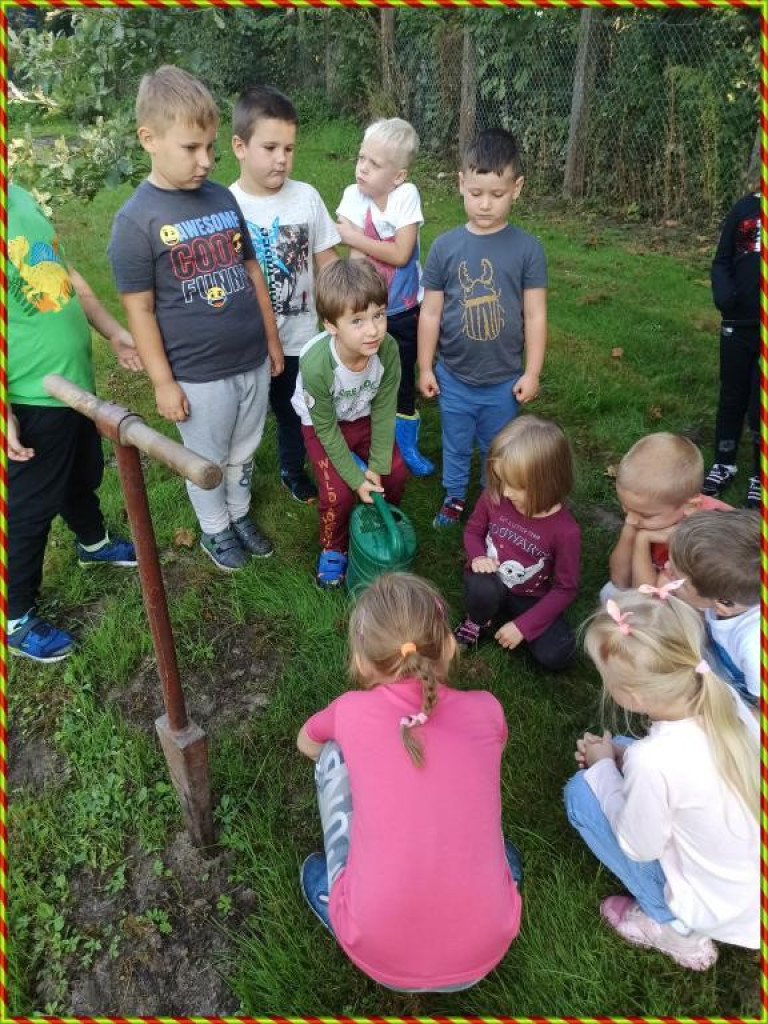 Hrubieszów: Przedszkolaki z Gródeckiej sadziły las - ZDJĘCIA