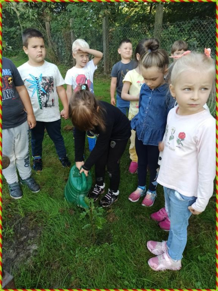 Hrubieszów: Przedszkolaki z Gródeckiej sadziły las - ZDJĘCIA