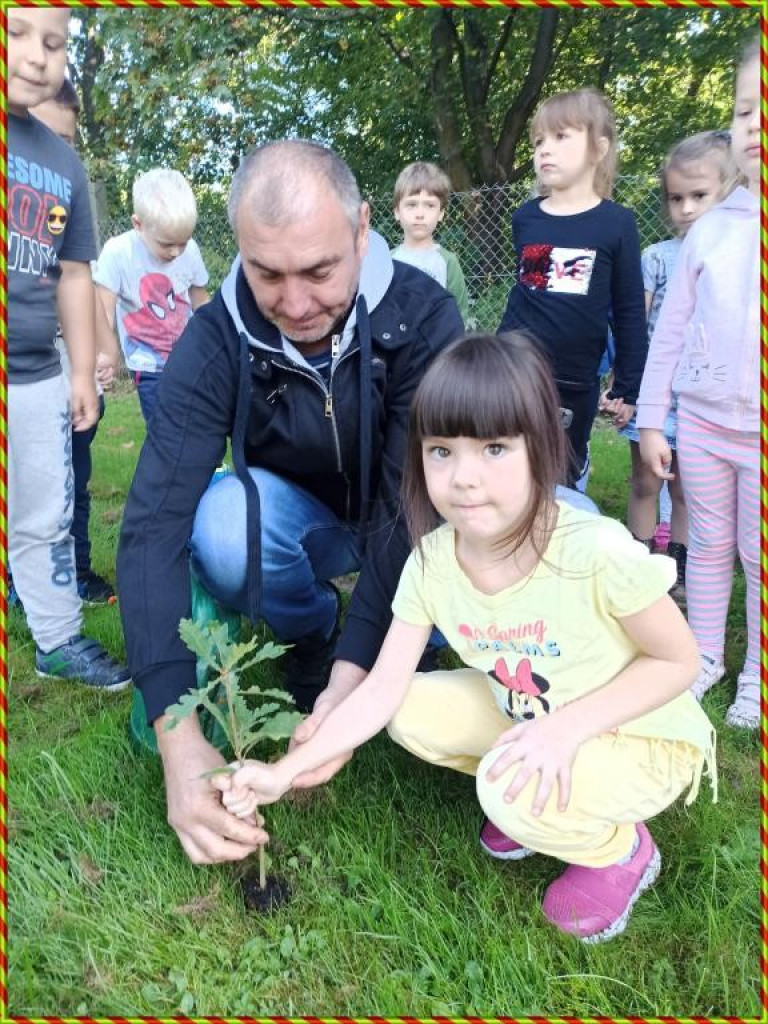 Hrubieszów: Przedszkolaki z Gródeckiej sadziły las - ZDJĘCIA