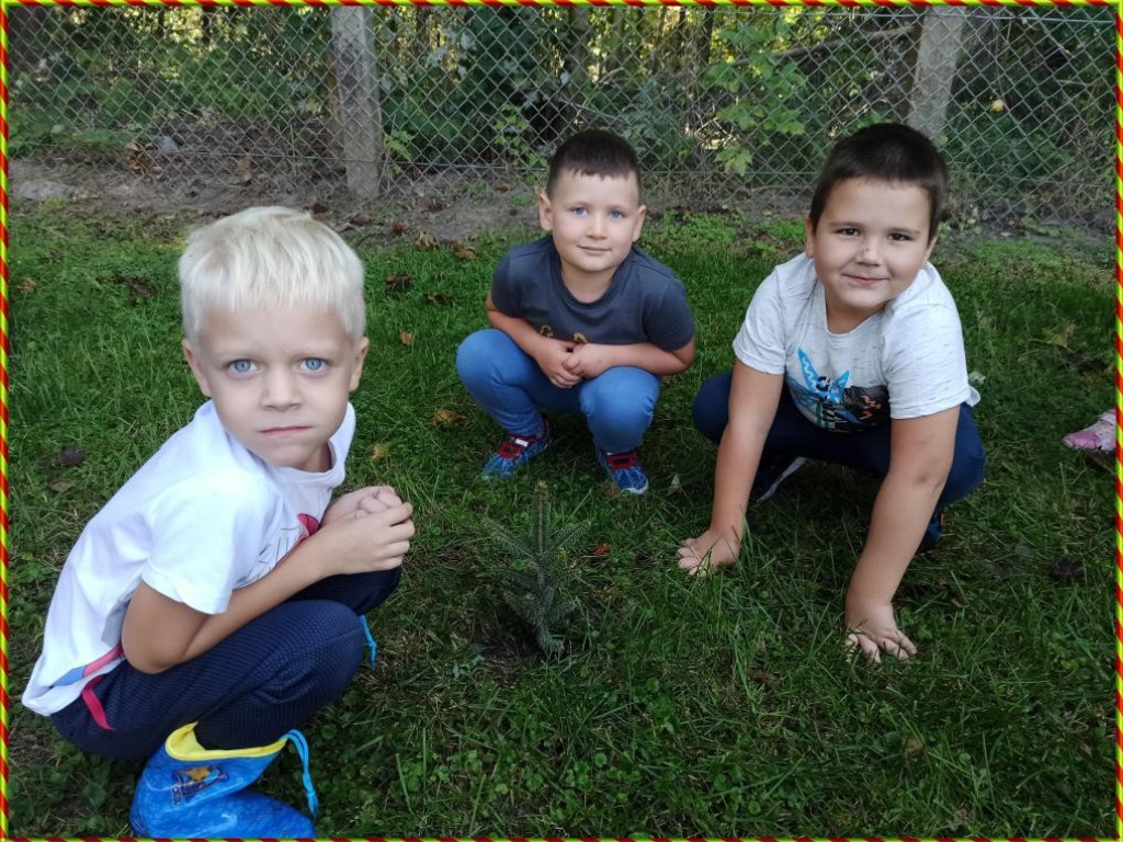 Hrubieszów: Przedszkolaki z Gródeckiej sadziły las - ZDJĘCIA