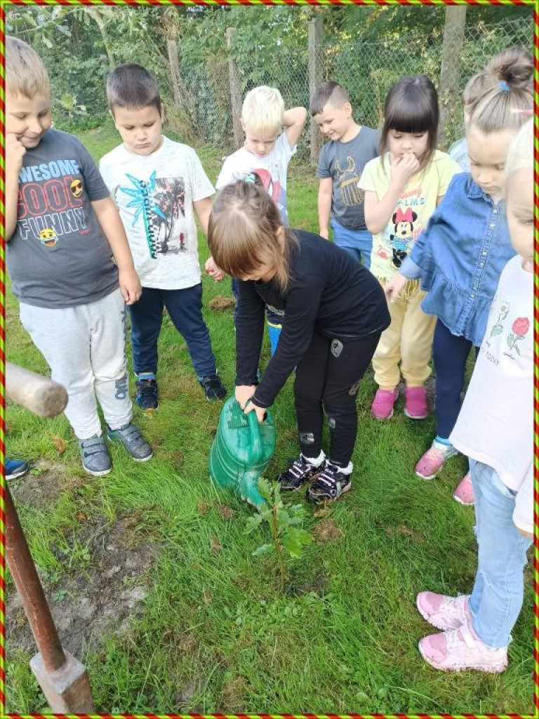 Hrubieszów: Przedszkolaki z Gródeckiej sadziły las - ZDJĘCIA