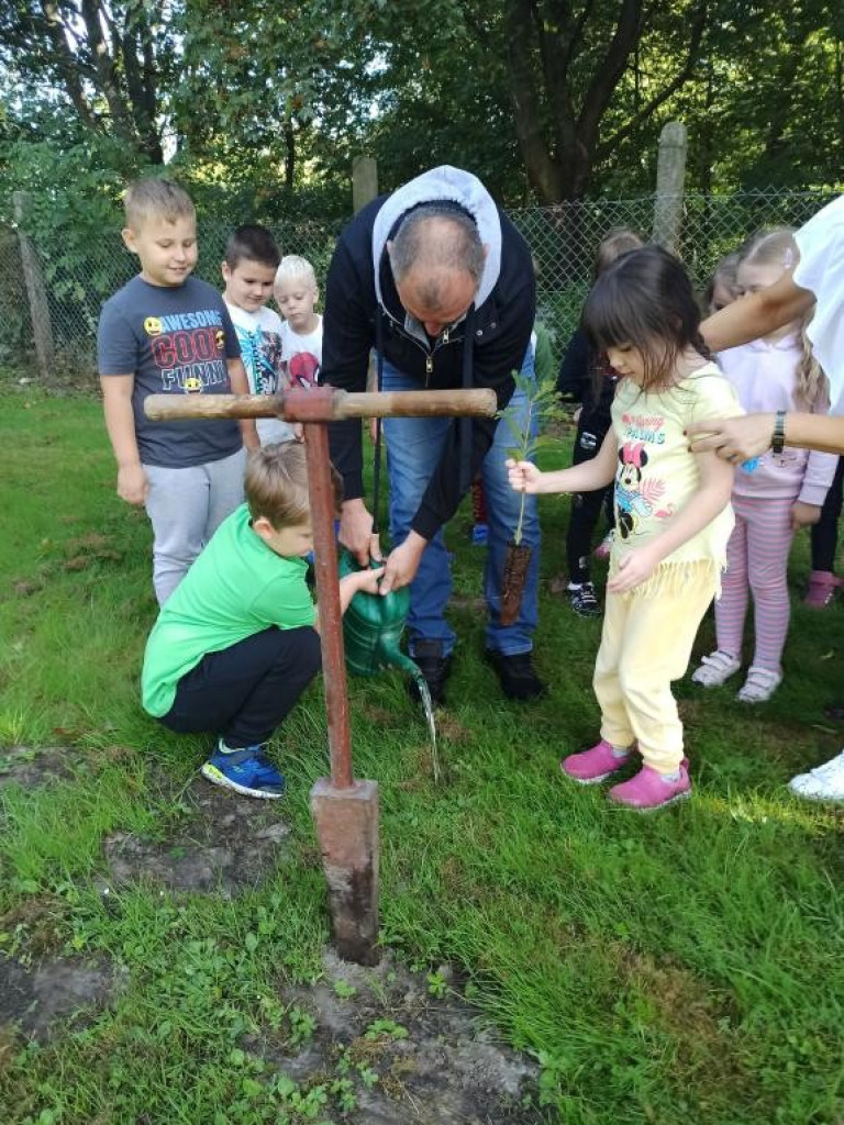 Hrubieszów: Przedszkolaki z Gródeckiej sadziły las - ZDJĘCIA