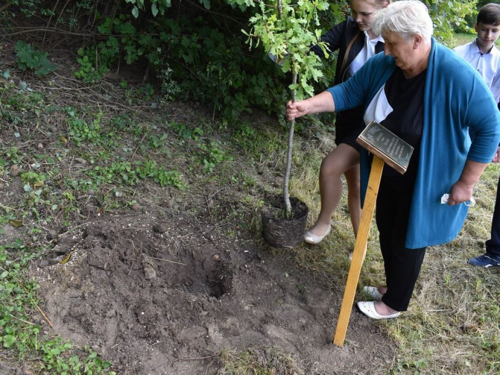 Posadzili kolejne dęby pamięci w Stefankowicach