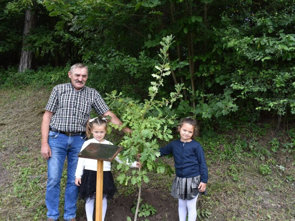 Posadzili kolejne dęby pamięci w Stefankowicach