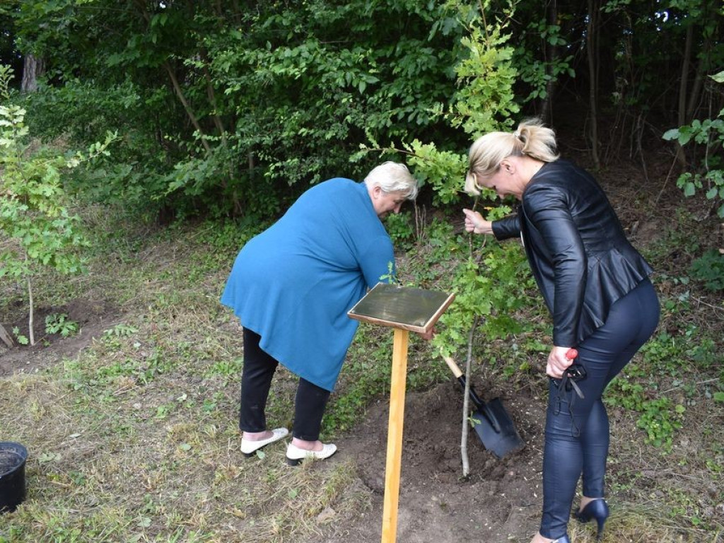 Posadzili kolejne dęby pamięci w Stefankowicach