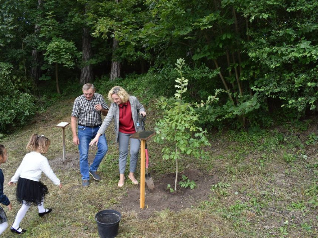 Posadzili kolejne dęby pamięci w Stefankowicach