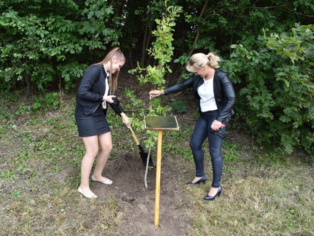 Posadzili kolejne dęby pamięci w Stefankowicach