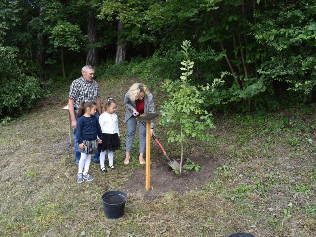 Posadzili kolejne dęby pamięci w Stefankowicach